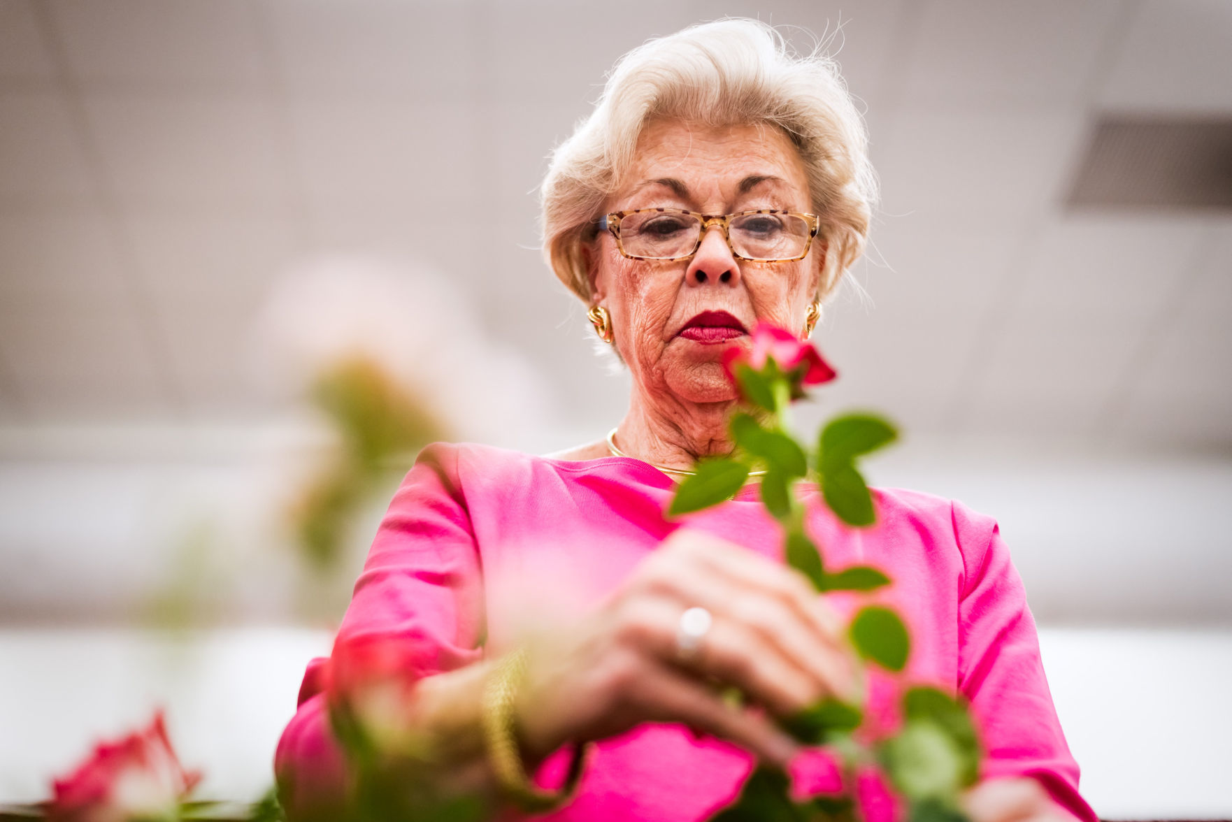 Rose Show